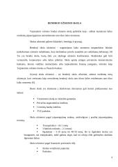 Užsienio skola, jos rinkos bruožai 3 puslapis