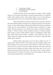 Užsienio skola, jos rinkos bruožai 4 puslapis