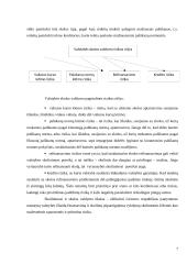 Užsienio skola, jos rinkos bruožai 6 puslapis