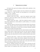 Valiutos revalvavimo įtaka ekonomikos augimui 3 puslapis