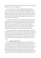 Kodėl šalys kaupia užsienio valiutos rezervus? 6 puslapis