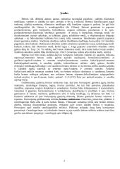 Periodinio veikimo šutinimo kamera 2 puslapis