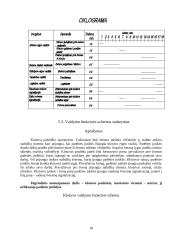 Periodinio veikimo šutinimo kamera 18 puslapis