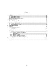 Periodinio veikimo šutinimo kamera 3 puslapis