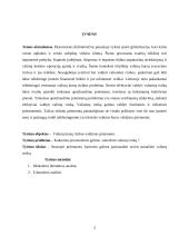 Valiutų rizikos valdymas išvestinėmis priemonėmis Lietuvos bankuose 2 puslapis