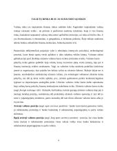 Valiutų rizikos valdymas išvestinėmis priemonėmis Lietuvos bankuose 3 puslapis