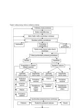 Valiutų rizikos valdymas išvestinėmis priemonėmis Lietuvos bankuose 9 puslapis