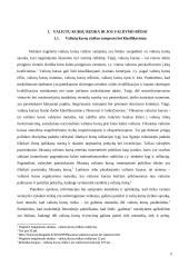 Valiutų rizikos valdymo sistemos tarptautinėse įmonėse 2 puslapis