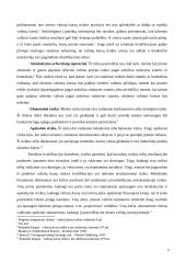 Valiutų rizikos valdymo sistemos tarptautinėse įmonėse 3 puslapis