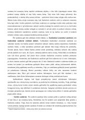 Valiutų rizikos valdymo sistemos tarptautinėse įmonėse 6 puslapis