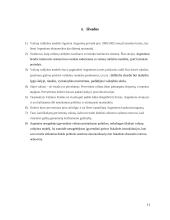 Valiutų valdybos taikymo pasekmės Argentinoje 10 puslapis