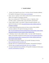 Valiutų valdybos taikymo pasekmės Argentinoje 11 puslapis