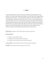 Valiutų valdybos taikymo pasekmės Argentinoje 2 puslapis