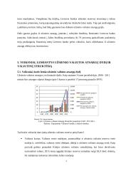 Veiksniai, lemiantys užsienio valiutos atsargų dydį ir valiutinę struktūrą 6 puslapis