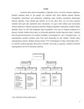Besivystančių šalių skolos restruktūrizavimo mechanizmas. 2 puslapis