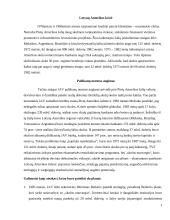 Besivystančių šalių skolos restruktūrizavimo mechanizmas. 4 puslapis