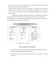 Besivystančių šalių skolos restruktūrizavimo mechanizmas. 5 puslapis