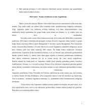 Besivystančių šalių skolos restruktūrizavimo mechanizmas. 6 puslapis