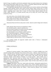 Iliada ir Odisėja santrauka 3 puslapis