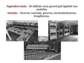 Siužetas, veikėjai Dievų miškas 7 puslapis