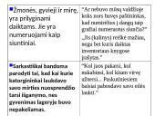Ironija Balio Sruogos kūrinyje „Dievų miškas” 5 puslapis
