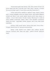 Jotvingių žemės interpretacija 2 puslapis