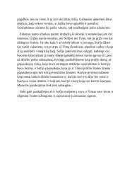 Viduramžiais gyvenančio žmogaus akimis 2 puslapis