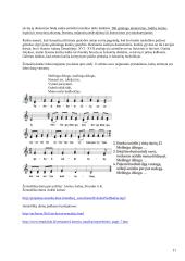 Viskas apie folklorą 11 puslapis