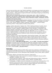 Viskas apie folklorą 12 puslapis