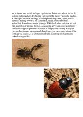 Nariuotakojai 2 puslapis