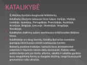 Europos kultūra 10 puslapis