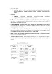 Bankų raida, funkcijos ir jų rūšys 4 puslapis