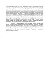 Kartų santykiai literatūroje rašinys 2 puslapis