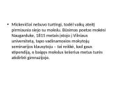 Adomo Mickevičiaus gyvenimo ir kūrybos bruožai 3 puslapis