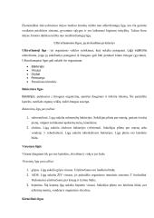 Apsauga nuo žalingo mikroorganizmų poveikio ir imuniteto susidarymas 16 puslapis