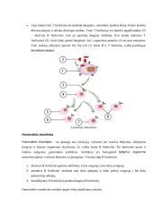 Apsauga nuo žalingo mikroorganizmų poveikio ir imuniteto susidarymas 6 puslapis