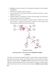Apsauga nuo žalingo mikroorganizmų poveikio ir imuniteto susidarymas 7 puslapis
