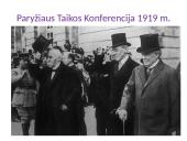 Pirmas pasaulinis karas 1914-1918 14 puslapis