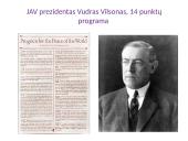 Pirmas pasaulinis karas 1914-1918 20 puslapis