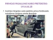 Pirmas pasaulinis karas 1914-1918 5 puslapis