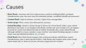 Types, causes and action during floods 4 puslapis