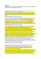 Viskas apie moneras 2 puslapis