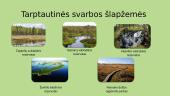 Bendroji Lietuvos saugomų teritorijų sistema 7 puslapis