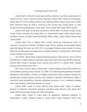 Danske Bank įmonės marketingo analizė 3 puslapis