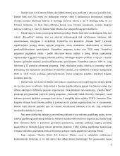 Danske Bank įmonės marketingo analizė 5 puslapis