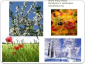 Išsami K. Donelaičio "Metų" analizė 2 puslapis