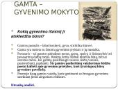 Išsami K. Donelaičio "Metų" analizė 12 puslapis