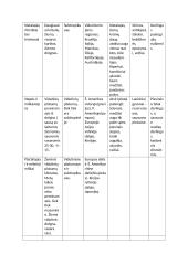 Klimato zonų lentelės 2 puslapis