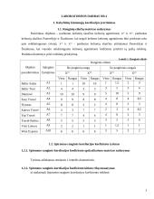 Ekonometrikos skaičiavimai 3 puslapis