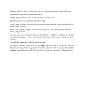 Atmosferos sąvokos 2 puslapis